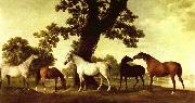 George Stubbs Pferde in einer Landschaft Spain oil painting artist